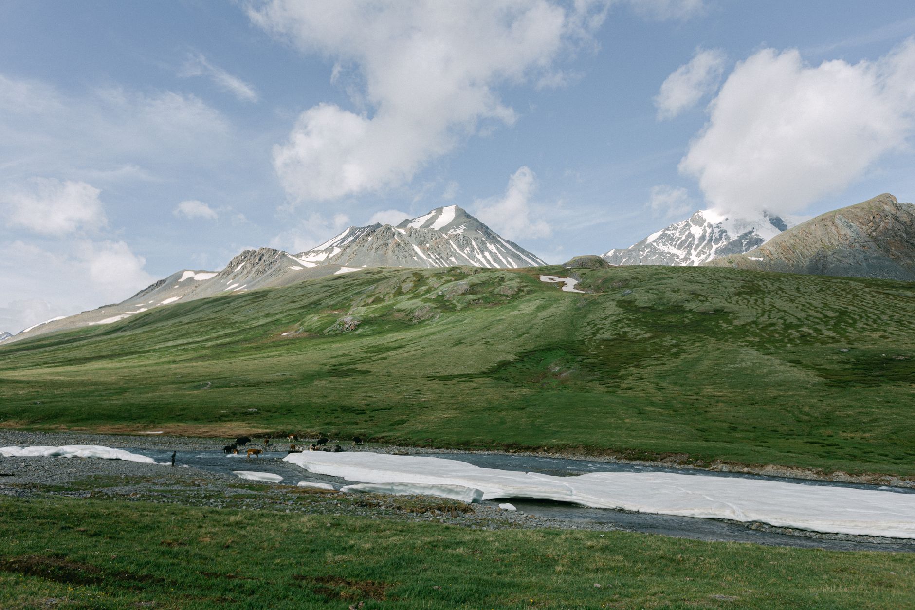 Glacial river winding through subpolar moss plains