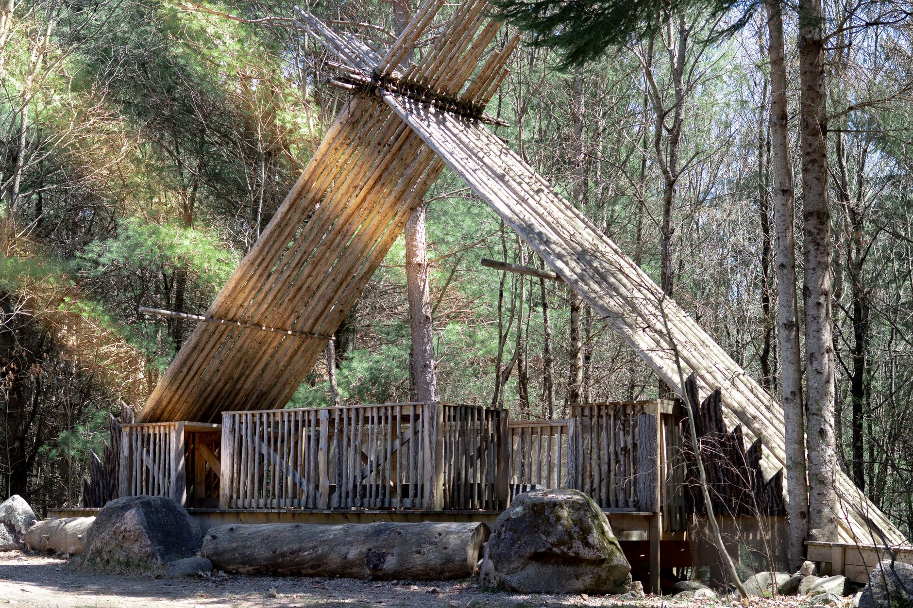 Architectural pavilion amidst forest
